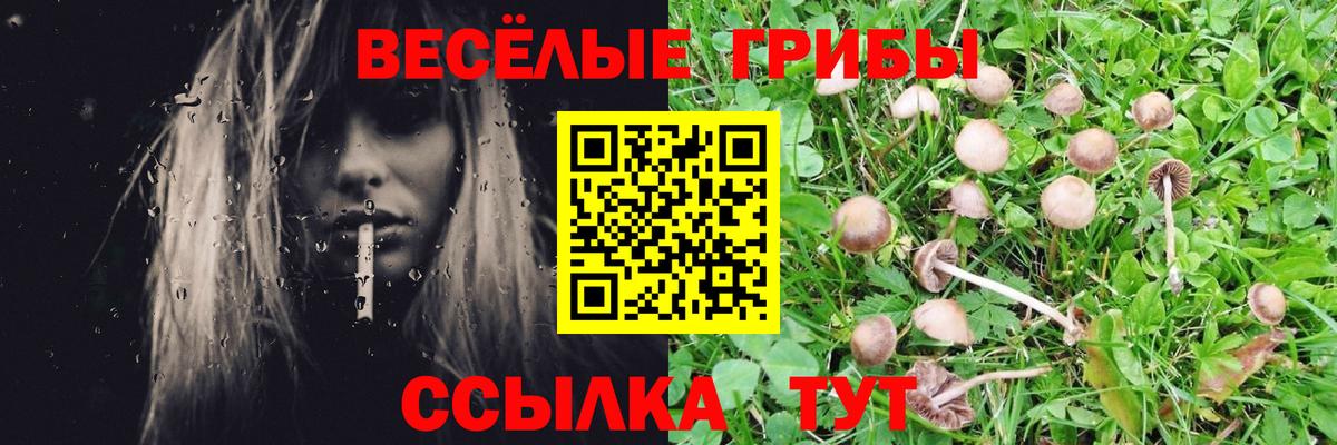 Галлюциногенные грибы прущие грибы Братск