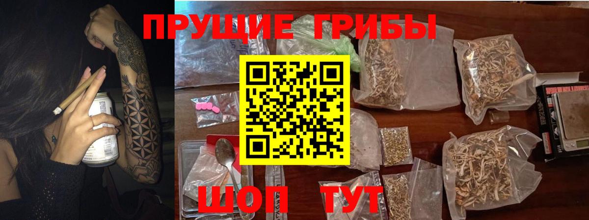 Братск  где купить наркотик  Вход с VPN  Галлюциногенные грибы Magic Shrooms  Галлюциногенные грибы Psilocybine cubensis 